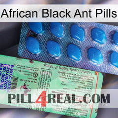 African Black Ant Pills new02